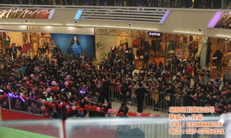 专业守护，价格亲民——武汉将帅安防技术有限公司全方位服务解析